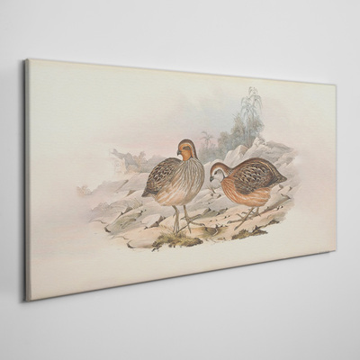 A pair of birds on a delicate background Print on canvas