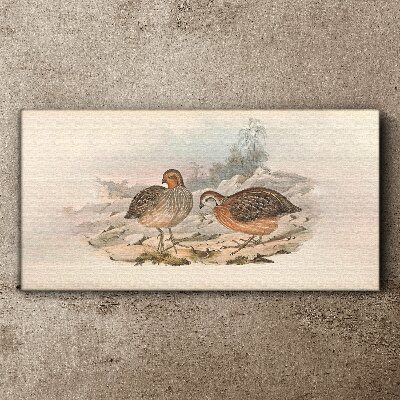 A pair of birds on a delicate background Print on canvas