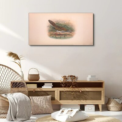 Birds animals figure Canvas print