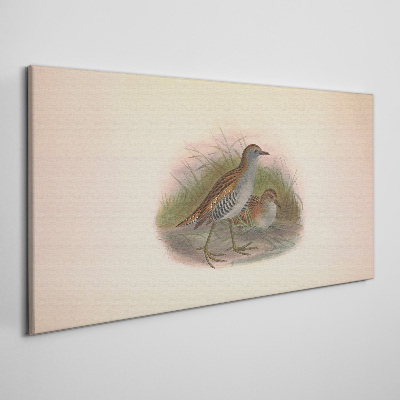 Birds in the grass Print on canvas