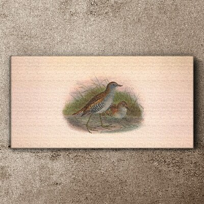Birds in the grass Print on canvas