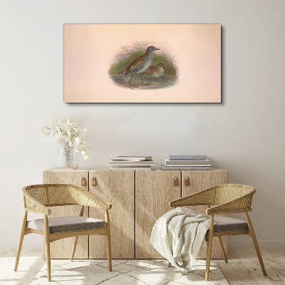 Birds animals Canvas print