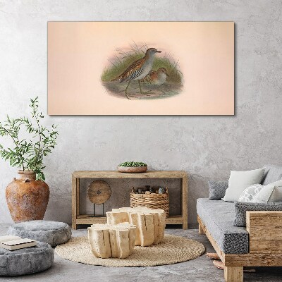 Birds in the grass Print on canvas