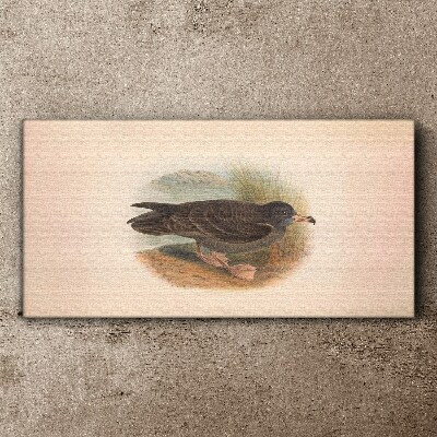 Birds animals Canvas print