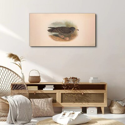 Birds animals Canvas print