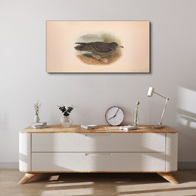 Birds animals Canvas print