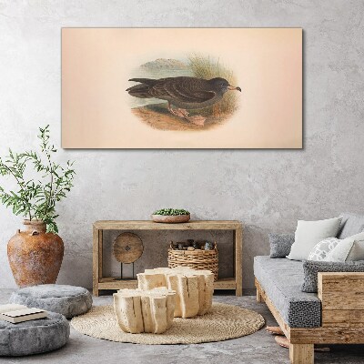 Birds animals Canvas print