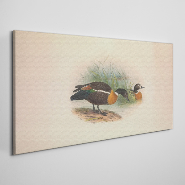 Two ducks in the grass Print on canvas