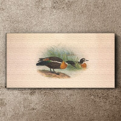 Animals birds beige Canvas print