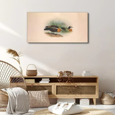 Two ducks in the grass Print on canvas