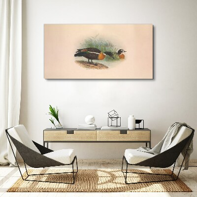 Two ducks in the grass Print on canvas
