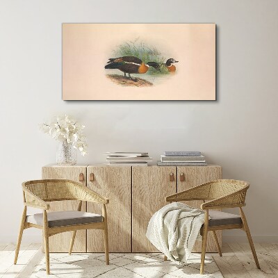 Animals birds beige Canvas print