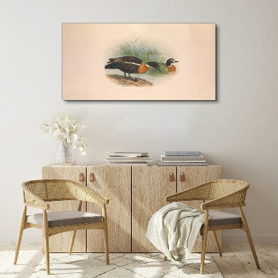 Two ducks in the grass Print on canvas