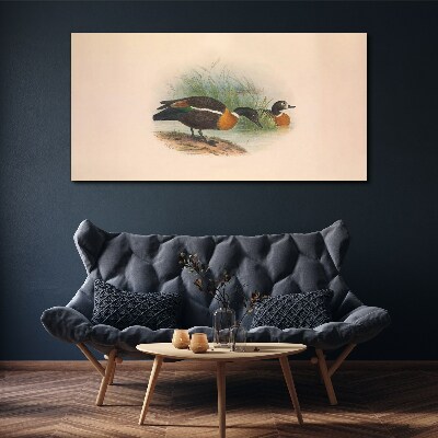 Two ducks in the grass Print on canvas
