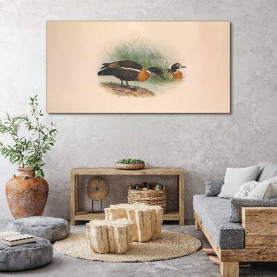 Two ducks in the grass Print on canvas