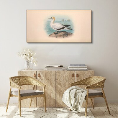 Birds animals figure Canvas print