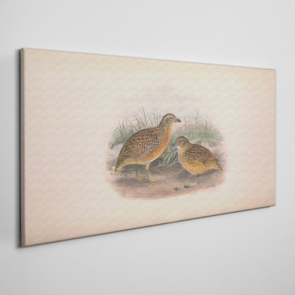Two birds in the grass Canvas wall art