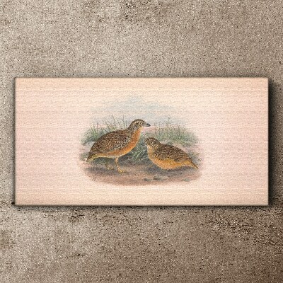 Two birds in the grass Canvas wall art