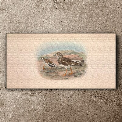 Birds animals Canvas print