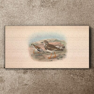 Birds in a desert landscape Print on canvas