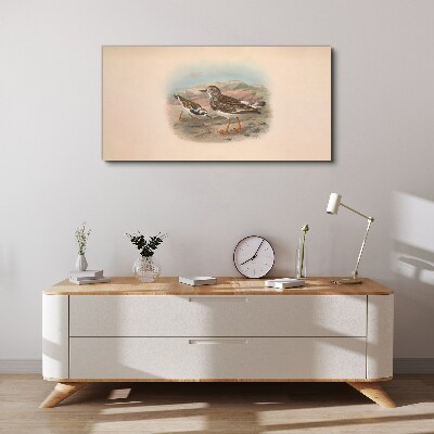 Birds animals Canvas print