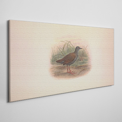 Birds animals figure Canvas print