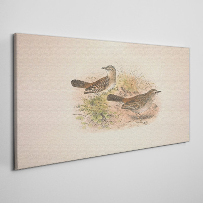 Animals birds beige Canvas print