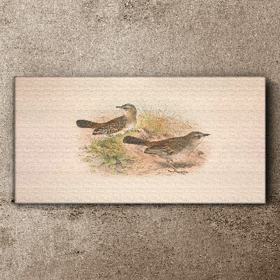 Animals birds beige Canvas print