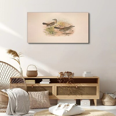 Animals birds beige Canvas print