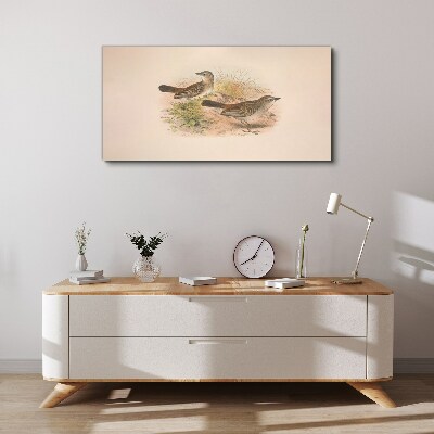 Animals birds beige Canvas print