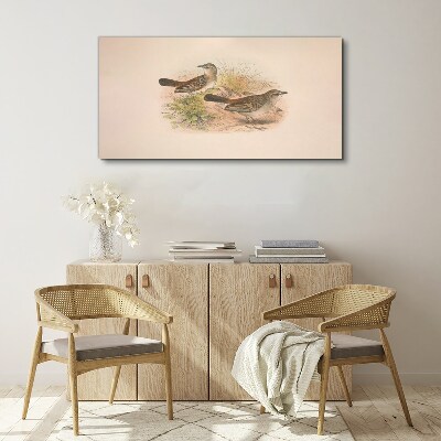 Animals birds beige Canvas print