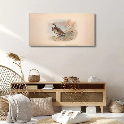 Birds animals Canvas print