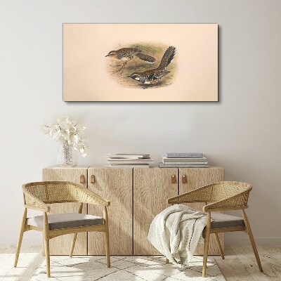 Birds animals Canvas print