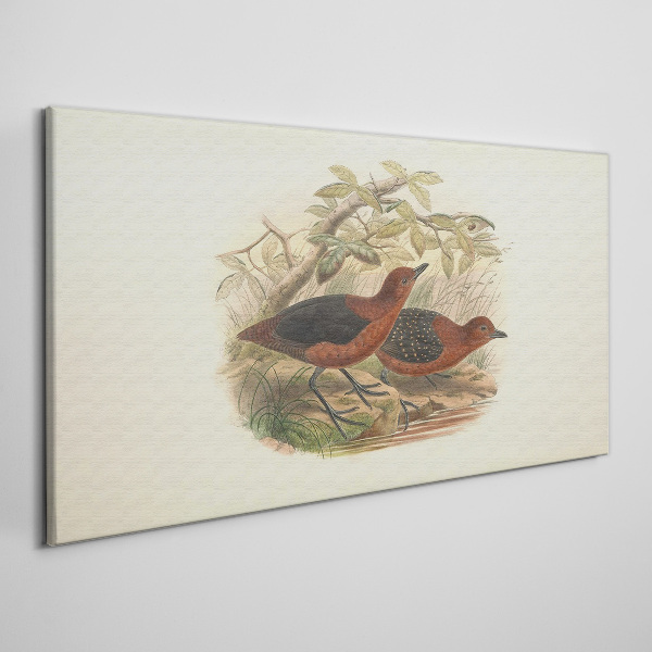 Birds animals Canvas print