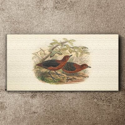 Birds animals Canvas print