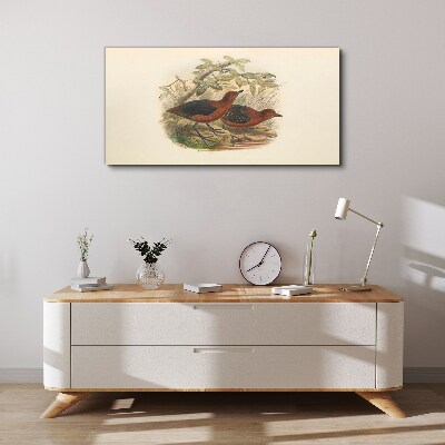 Birds animals Canvas print