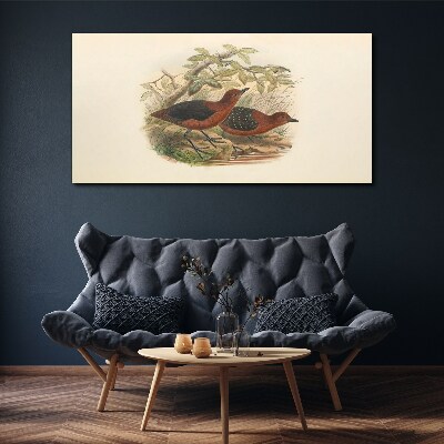 Birds animals Canvas print