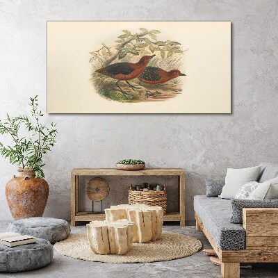 Birds animals Canvas print