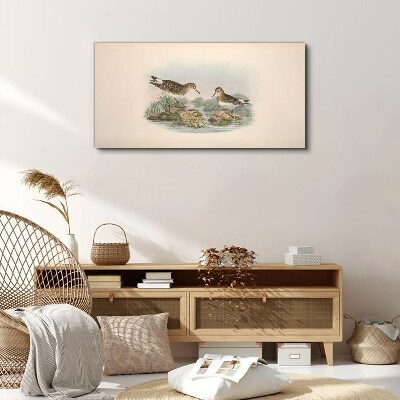 Animals birds beige Canvas print