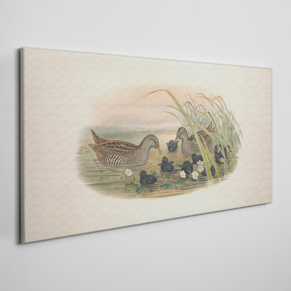 Duck families in a water environment Print on canvas