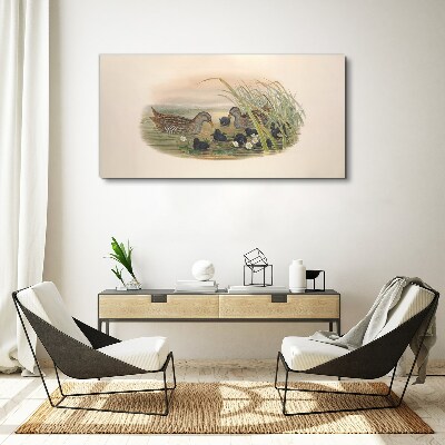 Duck families in a water environment Print on canvas