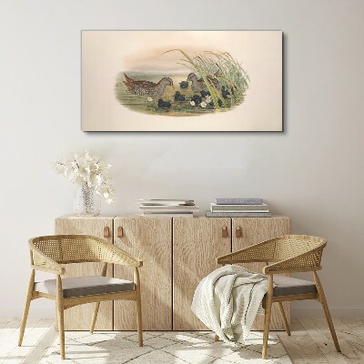 Duck families in a water environment Print on canvas