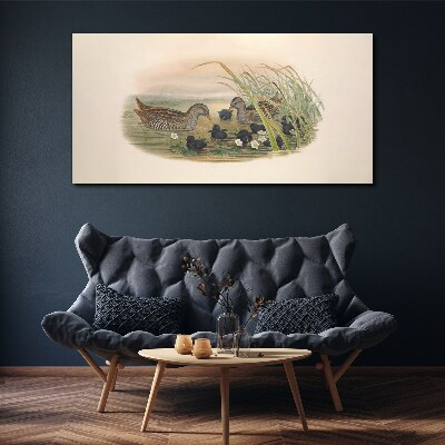 Duck families in a water environment Print on canvas