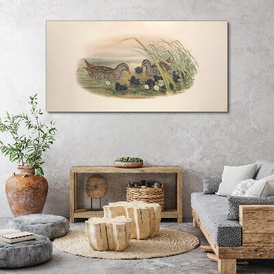 Birds animals figure Canvas print