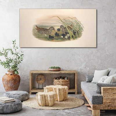 Duck families in a water environment Print on canvas