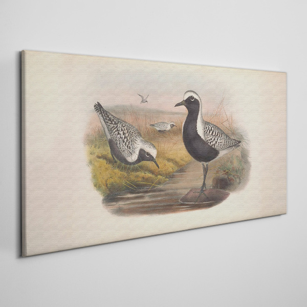 Birds in their natural habitat Print on canvas