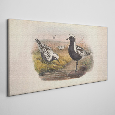 Birds in their natural habitat Print on canvas
