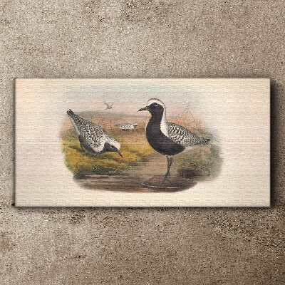 Birds in their natural habitat Print on canvas