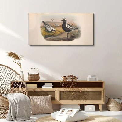 Birds animals Canvas print