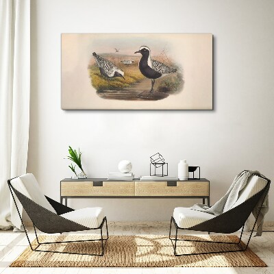 Birds animals Canvas print